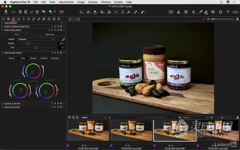 飞思Capture One Pro 10全面学习完全指南 基础入门教程  灵感中国社区 www.lingganchina.com