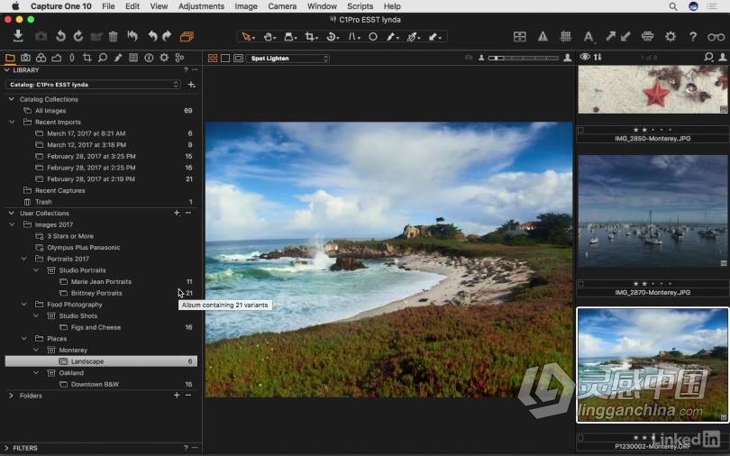 飞思Capture One Pro 10全面学习完全指南 基础入门教程  灵感中国网 www.lingganchina.com