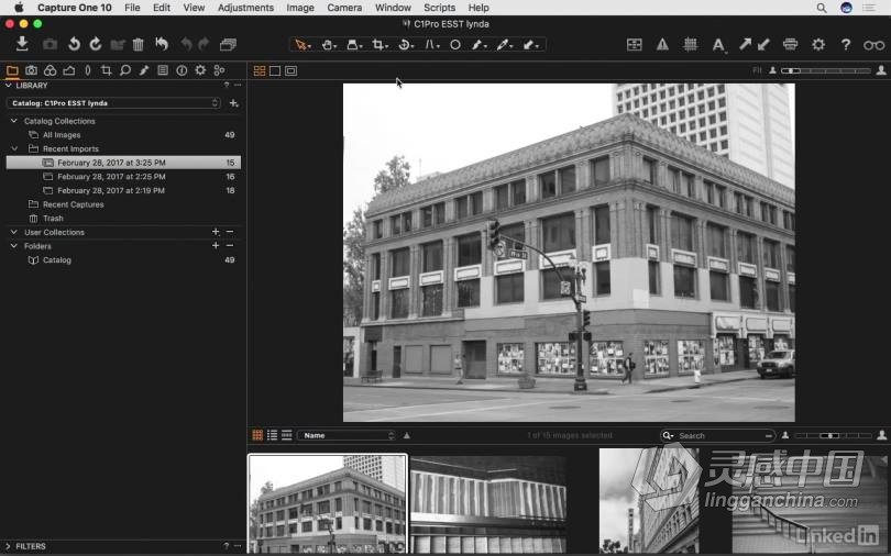 飞思Capture One Pro 10全面学习完全指南 基础入门教程  灵感中国网 www.lingganchina.com