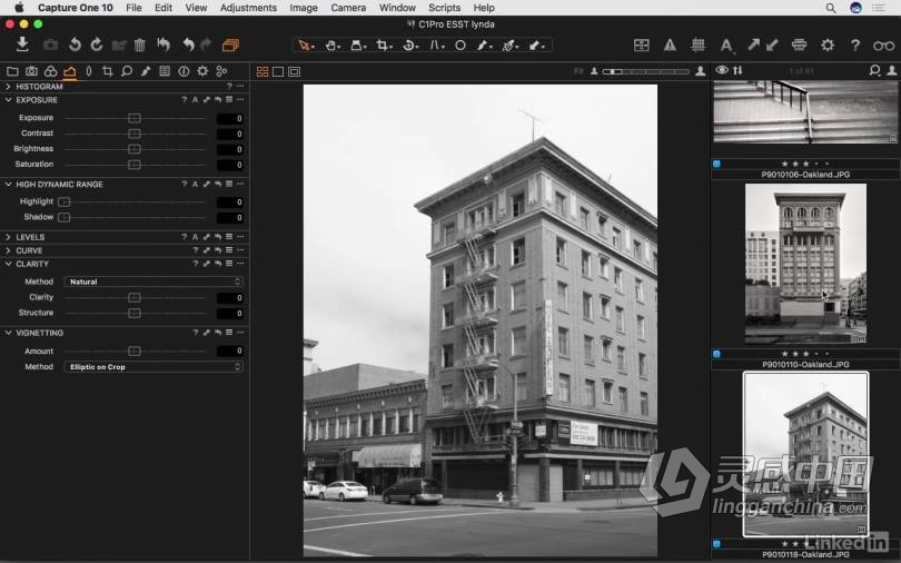 飞思Capture One Pro 10全面学习完全指南 基础入门教程  灵感中国网 www.lingganchina.com