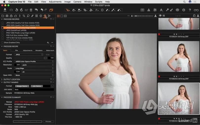 飞思Capture One Pro 10全面学习完全指南 基础入门教程  灵感中国网 www.lingganchina.com
