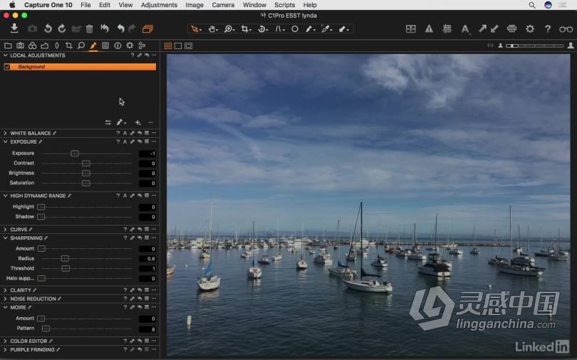 飞思Capture One Pro 10全面学习完全指南 基础入门教程  灵感中国网 www.lingganchina.com