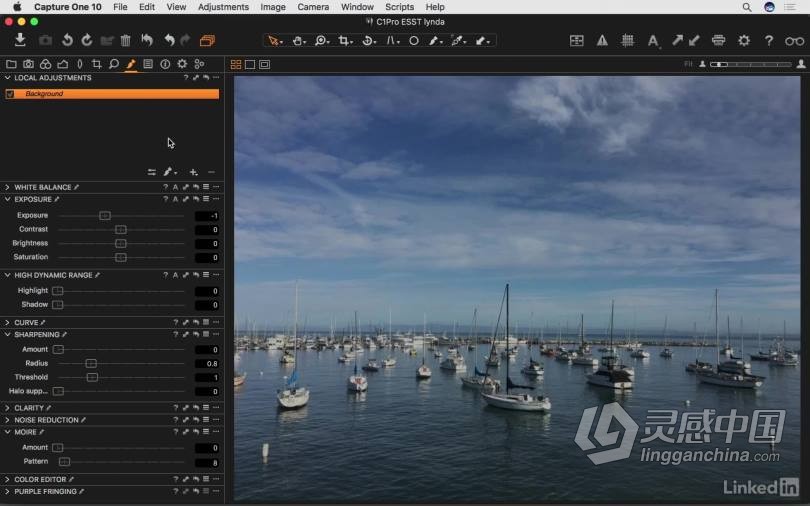 飞思Capture One Pro 10全面学习完全指南 基础入门教程  灵感中国社区 www.lingganchina.com