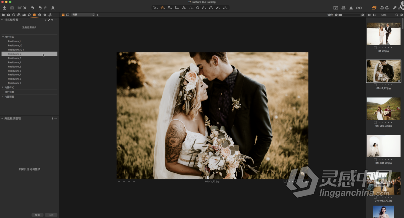 摄影师Steve Gindler飞思Capture One样式预设 Cvatik Residuum Styles Capture One (Win/Mac)  灵感中国网 www.lingganchina.com