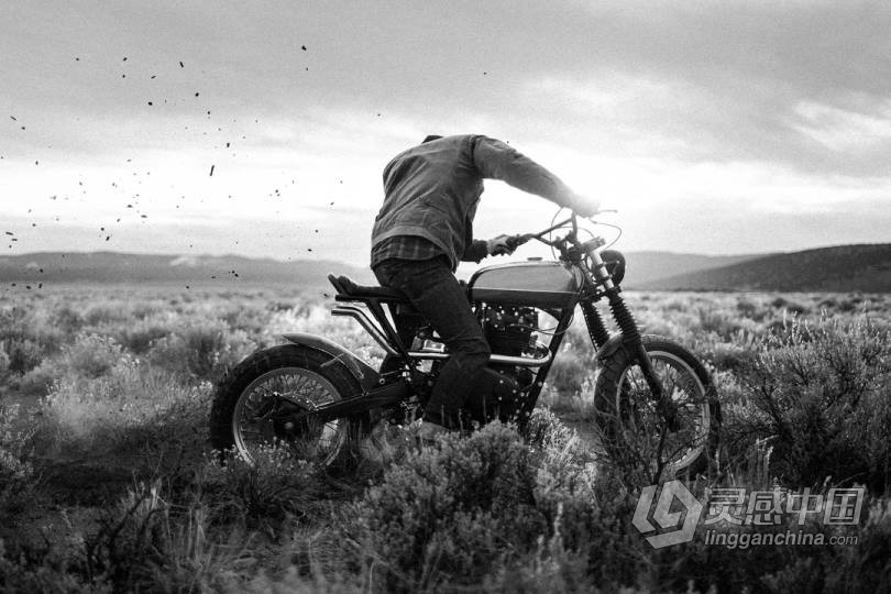Mastin Labs依尔福黑白胶片飞思样式ILFORD ORIGINAL Capture One Pro  灵感中国网 www.lingganchina.com