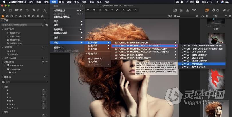 修图师Michael Woloszynowicz 飞思Capture One编辑颜色分级样式包  灵感中国网 www.lingganchina.com