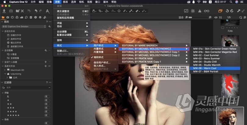 修图师Michael Woloszynowicz 飞思Capture One编辑颜色分级样式包  灵感中国社区 www.lingganchina.com
