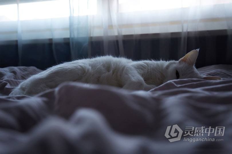 俄罗斯大神Axis城市风景人像汽车色彩Capture One Pro样式预设 飞思预设  灵感中国网 www.lingganchina.com