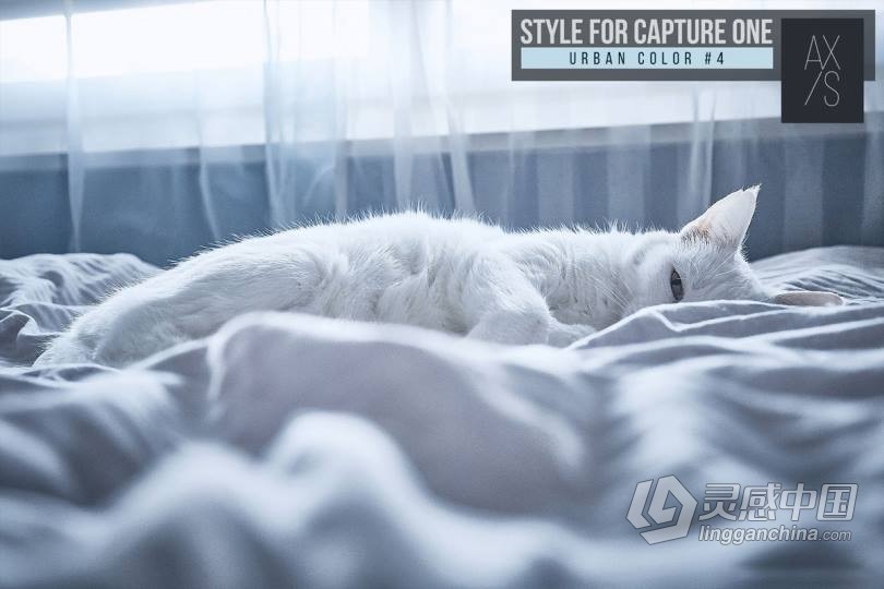 俄罗斯大神Axis城市风景人像汽车色彩Capture One Pro样式预设 飞思预设  灵感中国网 www.lingganchina.com