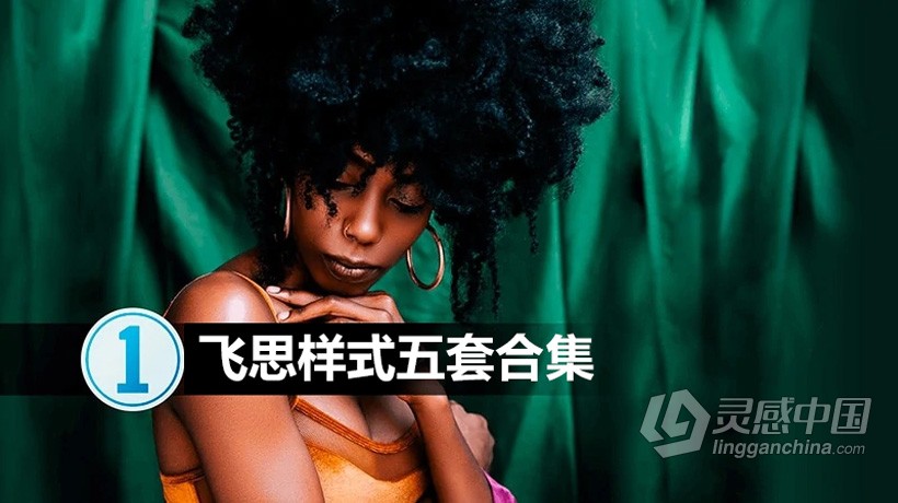 Mastin Labs 2019马斯丁电影胶片飞思样式五套合集 for Capture One Pro  灵感中国网 www.lingganchina.com