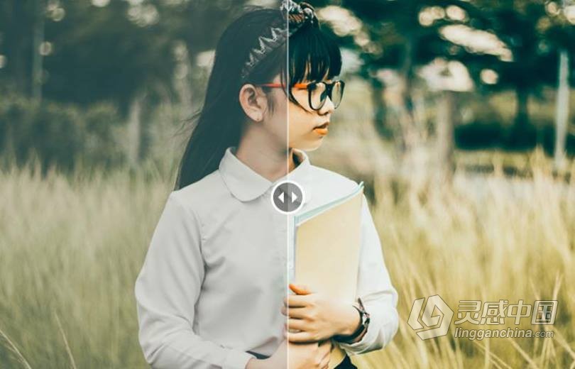 LUT预设 王家卫港风胶片复古调色LR预设+LUT预设 支持PS/PR/AE/LR/FCPX/达芬奇  灵感中国网 www.lingganchina.com