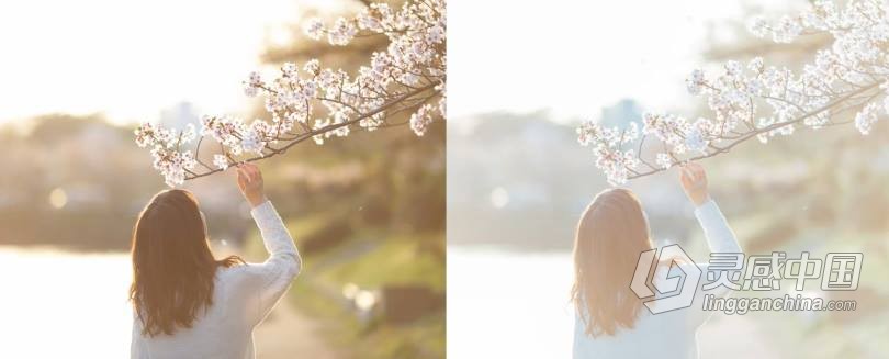 LUT预设 日系摄影师TakuyaOkada岡田拓也日系小清新INS人像LR预设+LUT预设 支持PS/PR/AE/LR/FCPX/达芬奇  灵感中国网 www.lingganchina.com
