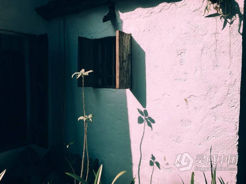 LUT预设 VSCO全滤镜转LUTs预设日系胶片风光预设人像旅拍婚礼LUT预设 VSCO MP2 支持PS/PR/AE/LR/FCPX/达芬奇  灵感中国网 www.lingganchina.com