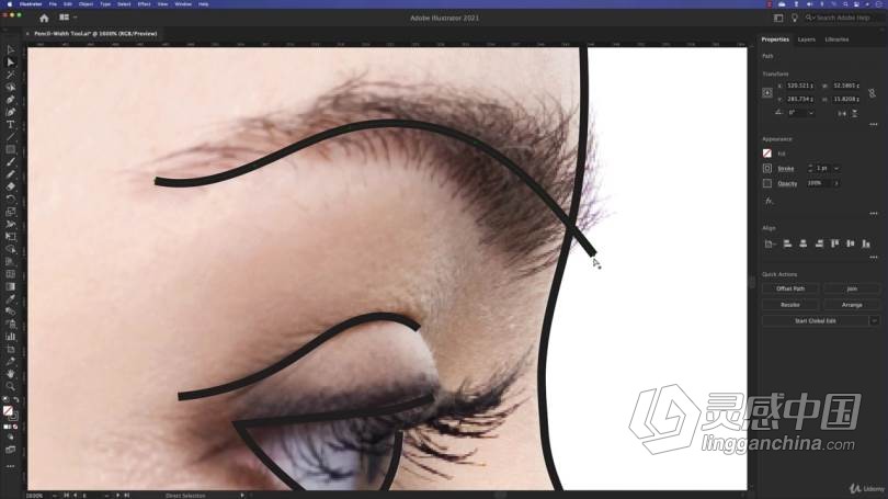 AI教程 Illustrator CC2021基本图形设计培训视频教程  灵感中国网 www.lingganchina.com