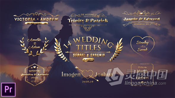 PR模板 14个金色粒子徽章图案设计婚礼标题视频字幕Wedding Titles PR工程 AE文件  灵感中国网 www.lingganchina.com