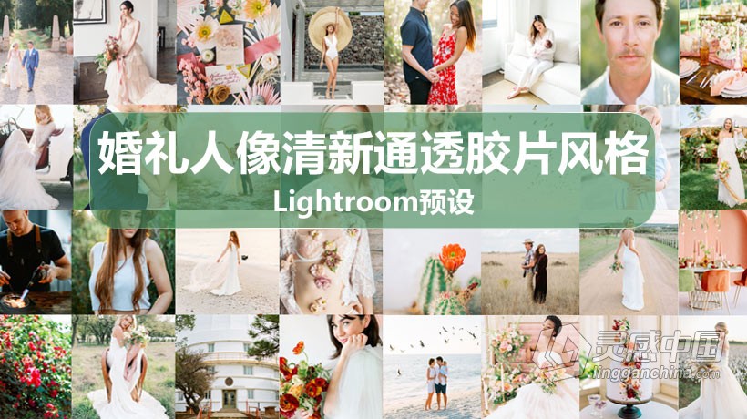 LR预设 科迪和奥斯汀婚礼人像清新通透胶片风格LR预设 Goodlight Presets pack3 Color  灵感中国网 www.lingganchina.com