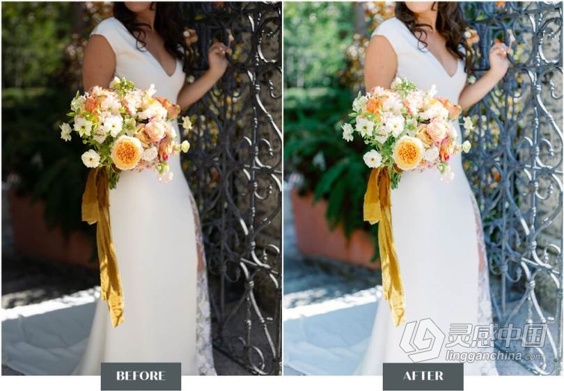 LR预设 科迪和奥斯汀婚礼人像清新通透胶片风格LR预设 Goodlight Presets pack3 Color  灵感中国网 www.lingganchina.com