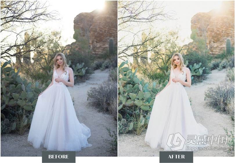LR预设 科迪和奥斯汀婚礼人像清新通透胶片风格LR预设 Goodlight Presets pack3 Color  灵感中国网 www.lingganchina.com