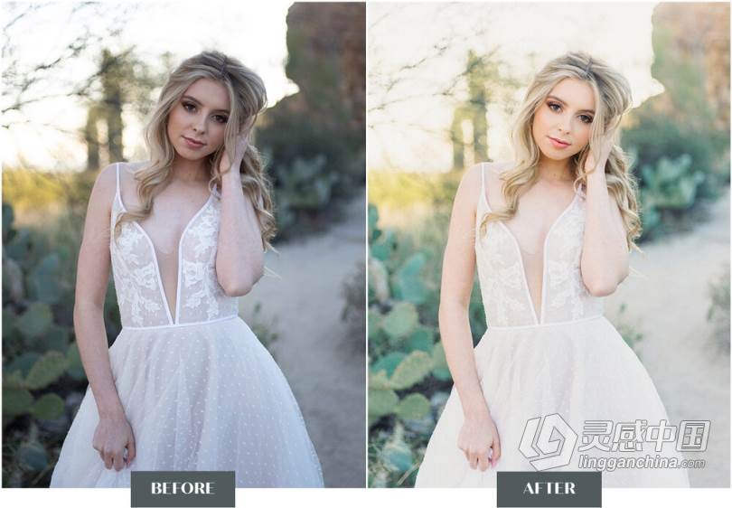 LR预设 科迪和奥斯汀婚礼人像清新通透胶片风格LR预设 Goodlight Presets pack3 Color  灵感中国网 www.lingganchina.com