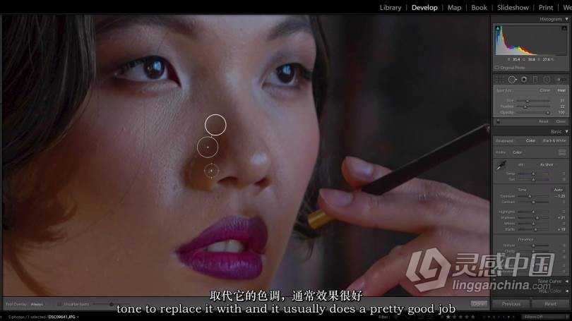 LR教程 摄影师斯科特·罗伯特·林(Scott Robert Lim)Lightroom编辑教程-中英字幕  灵感中国网 www.lingganchina.com
