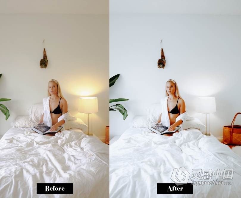LR预设 清新干净通透人像Lightroom预设+手机APP预设 ArtaPresets Pure White Lightroom  灵感中国网 www.lingganchina.com