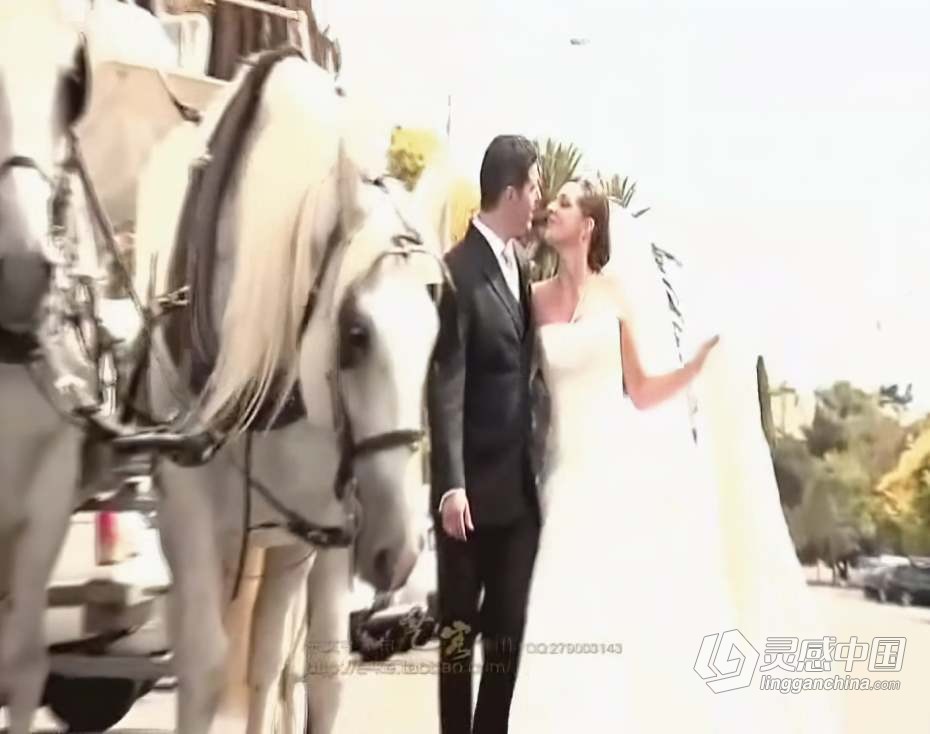 摄影教程 四位世界顶级摄影师婚礼拍摄教程 中文字幕  灵感中国网 www.lingganchina.com