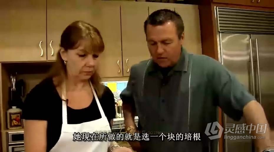 餐饮商业美食菜谱摄影与布光食品商品拍摄中文字幕视频教程  灵感中国网 www.lingganchina.com