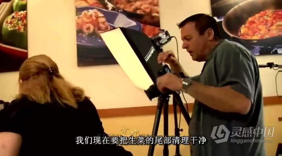 餐饮商业美食菜谱摄影与布光食品商品拍摄中文字幕视频教程  灵感中国网 www.lingganchina.com