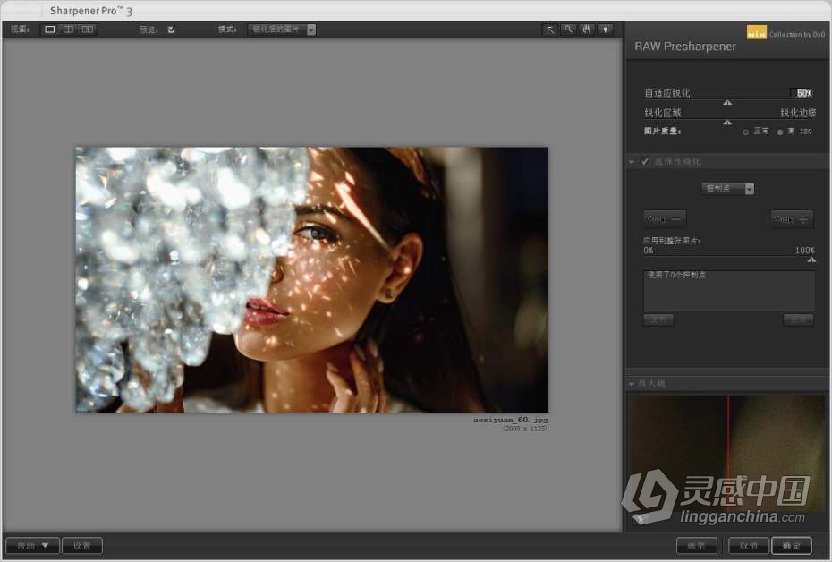 Nik Collection by DxO 4.1.1中文版 (PS插件滤镜套装)DxO Nik Collection 4.1.1 汉化版WINX64  灵感中国网 www.lingganchina.com