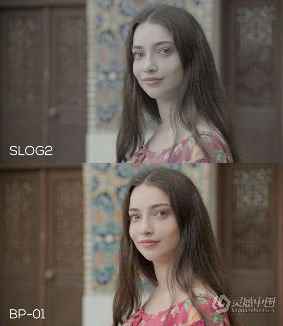 Sony索尼系列相机Slog2和Slog3用常Vlog电影LTUS调色预设 Slog2、Slog2视频调色预设  灵感中国网 www.lingganchina.com