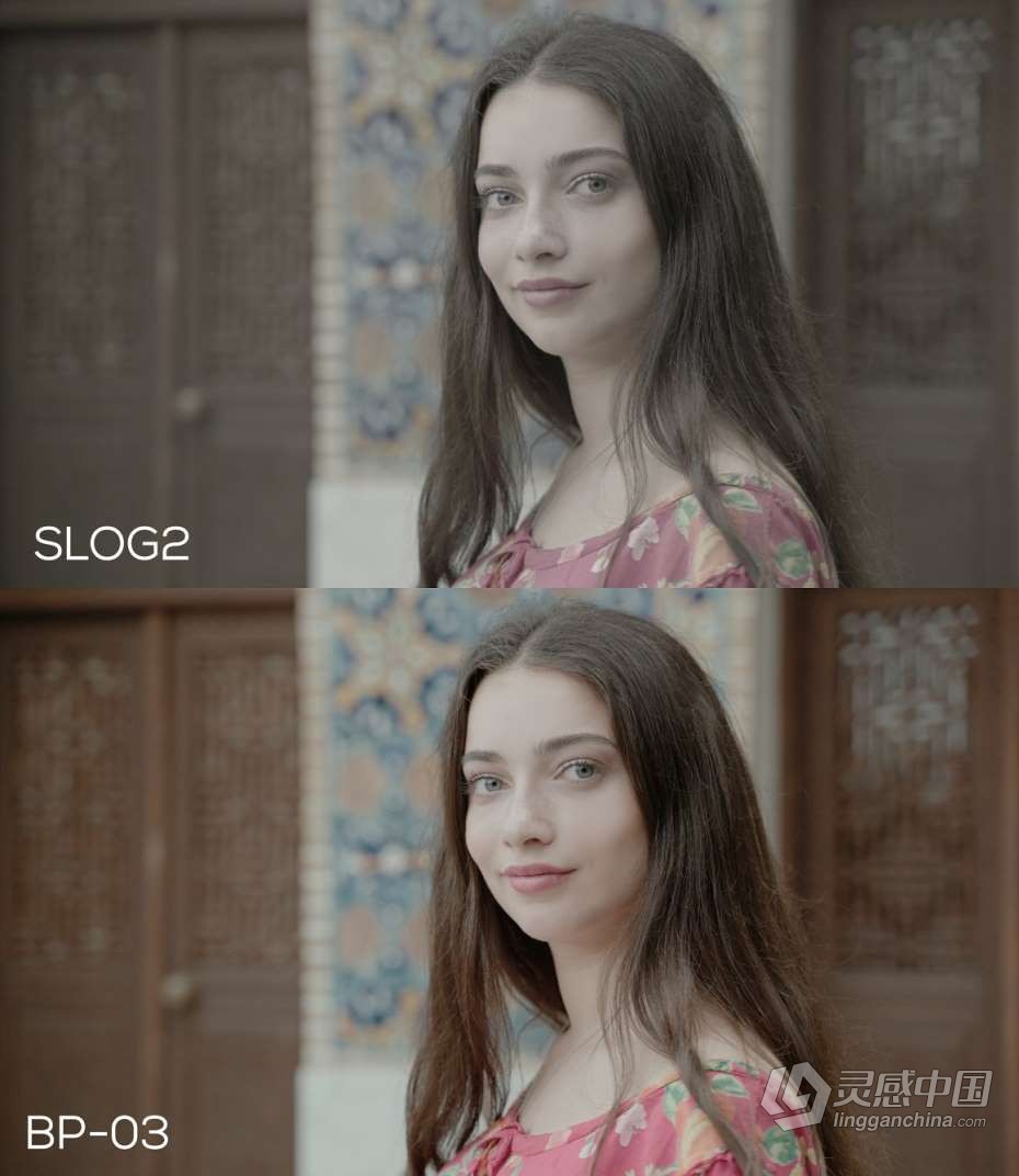 Sony索尼系列相机Slog2和Slog3用常Vlog电影LTUS调色预设 Slog2、Slog2视频调色预设  灵感中国网 www.lingganchina.com