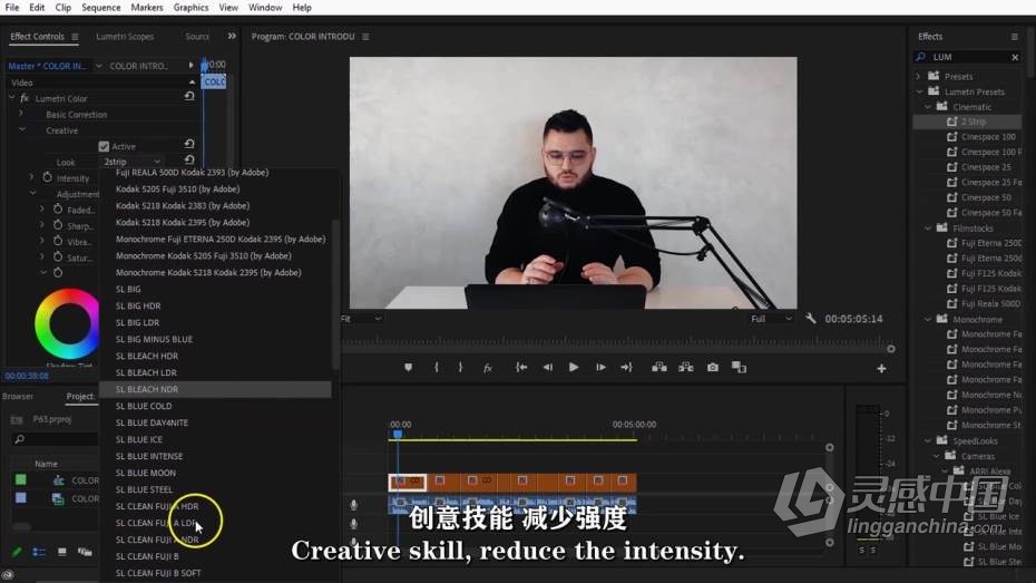 PR教程 Premiere Pro创意视频编辑技巧教程 中文字幕  灵感中国网 www.lingganchina.com