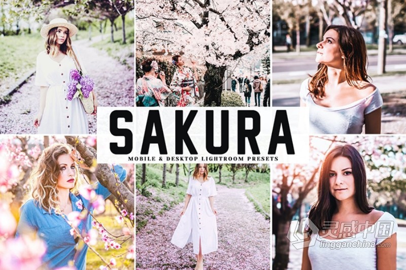 樱花粉彩外拍人像胶片Lightroom预设与APP预设 Sakura Lightroom Presets  灵感中国网 www.lingganchina.com
