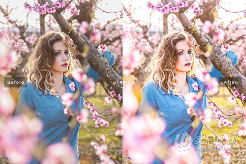 樱花粉彩外拍人像胶片Lightroom预设与APP预设 Sakura Lightroom Presets  灵感中国网 www.lingganchina.com