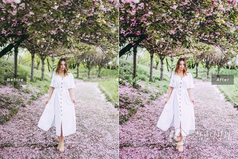 樱花粉彩外拍人像胶片Lightroom预设与APP预设 Sakura Lightroom Presets  灵感中国网 www.lingganchina.com