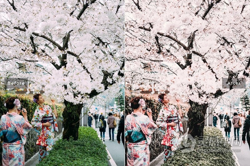 樱花粉彩外拍人像胶片Lightroom预设与APP预设 Sakura Lightroom Presets  灵感中国网 www.lingganchina.com