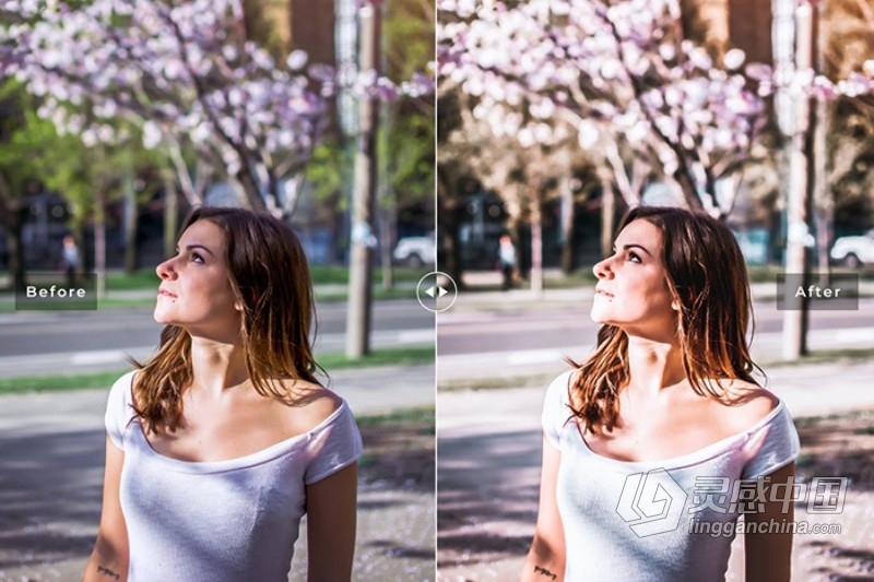 樱花粉彩外拍人像胶片Lightroom预设与APP预设 Sakura Lightroom Presets  灵感中国网 www.lingganchina.com