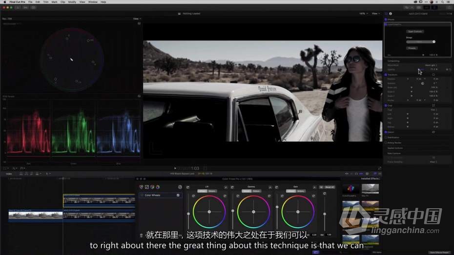 Color Grading Academy- 颜色分级学院Final Cut Pro X 颜色分级大师班教程  中文字幕  灵感中国网 www.lingganchina.com