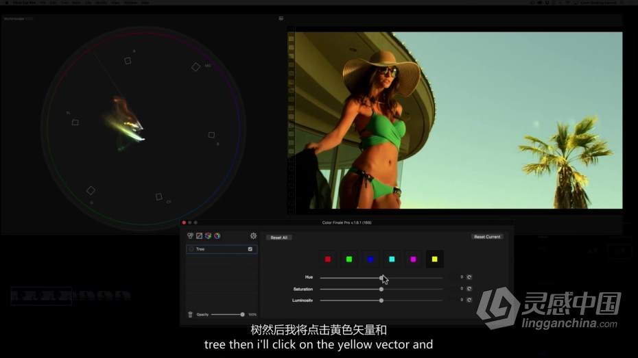 Color Grading Academy- 颜色分级学院Final Cut Pro X 颜色分级大师班教程  中文字幕  灵感中国网 www.lingganchina.com