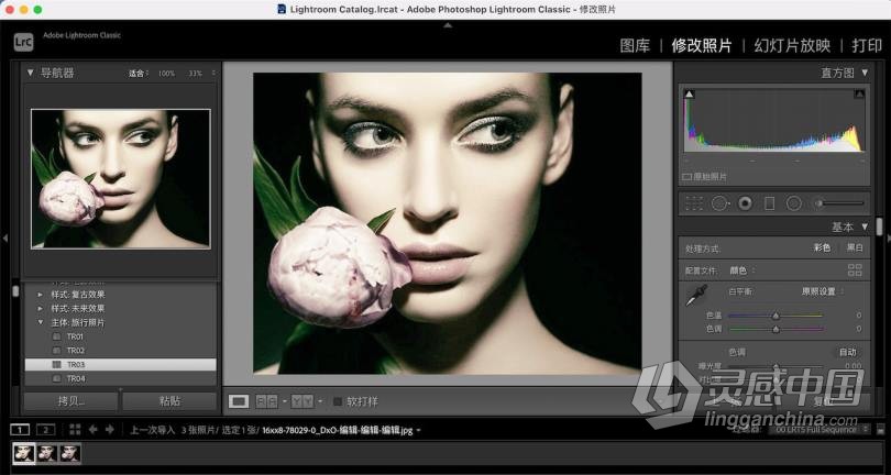 Adobe Lightroom Classic 10.3.0 for mac Lr 2021中英文一键注册版  灵感中国网 www.lingganchina.com