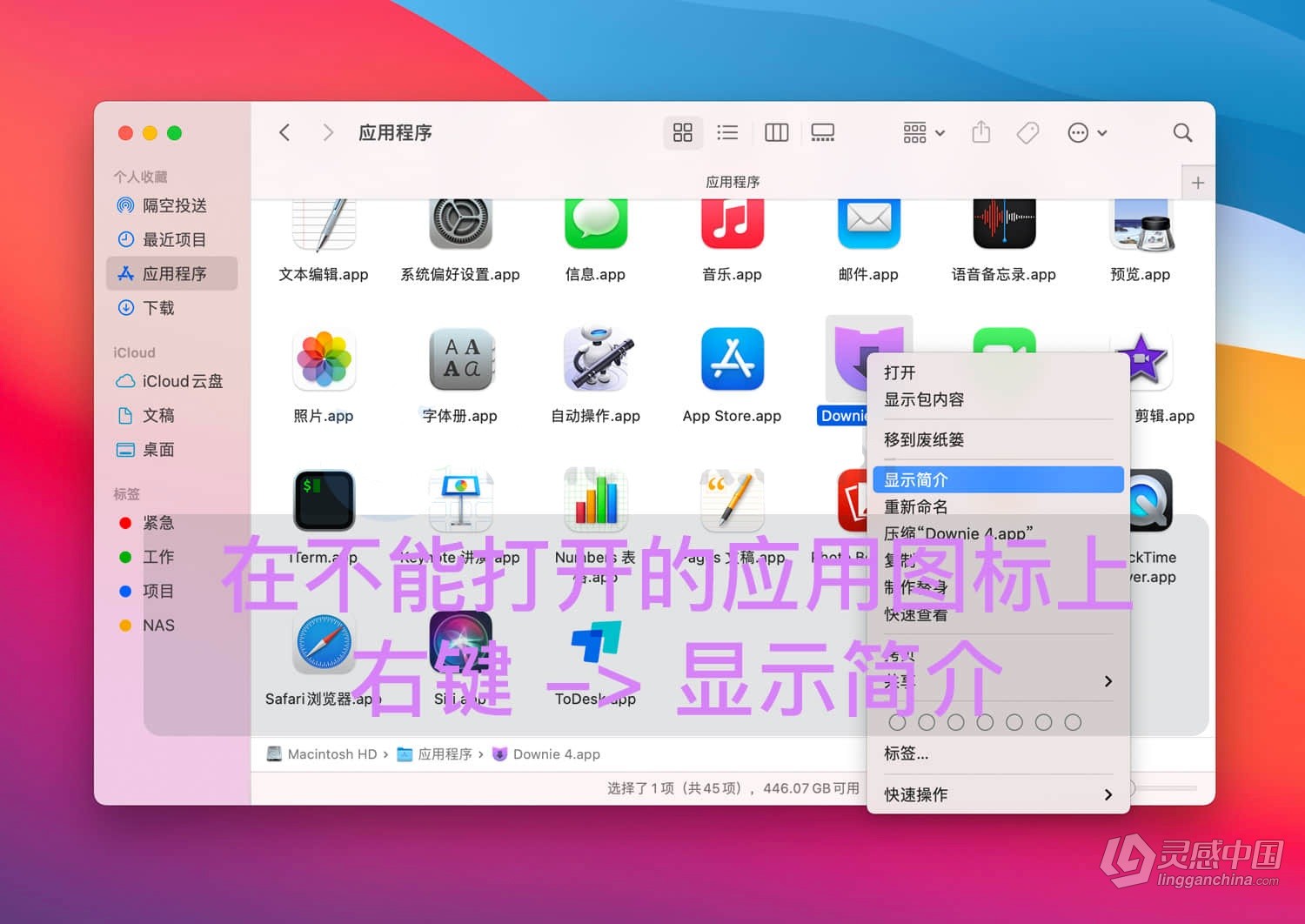 MAC新款Apple Silicon M1设备，应用安装后运行闪退怎么办？解决方法教程  灵感中国网 www.lingganchina.com