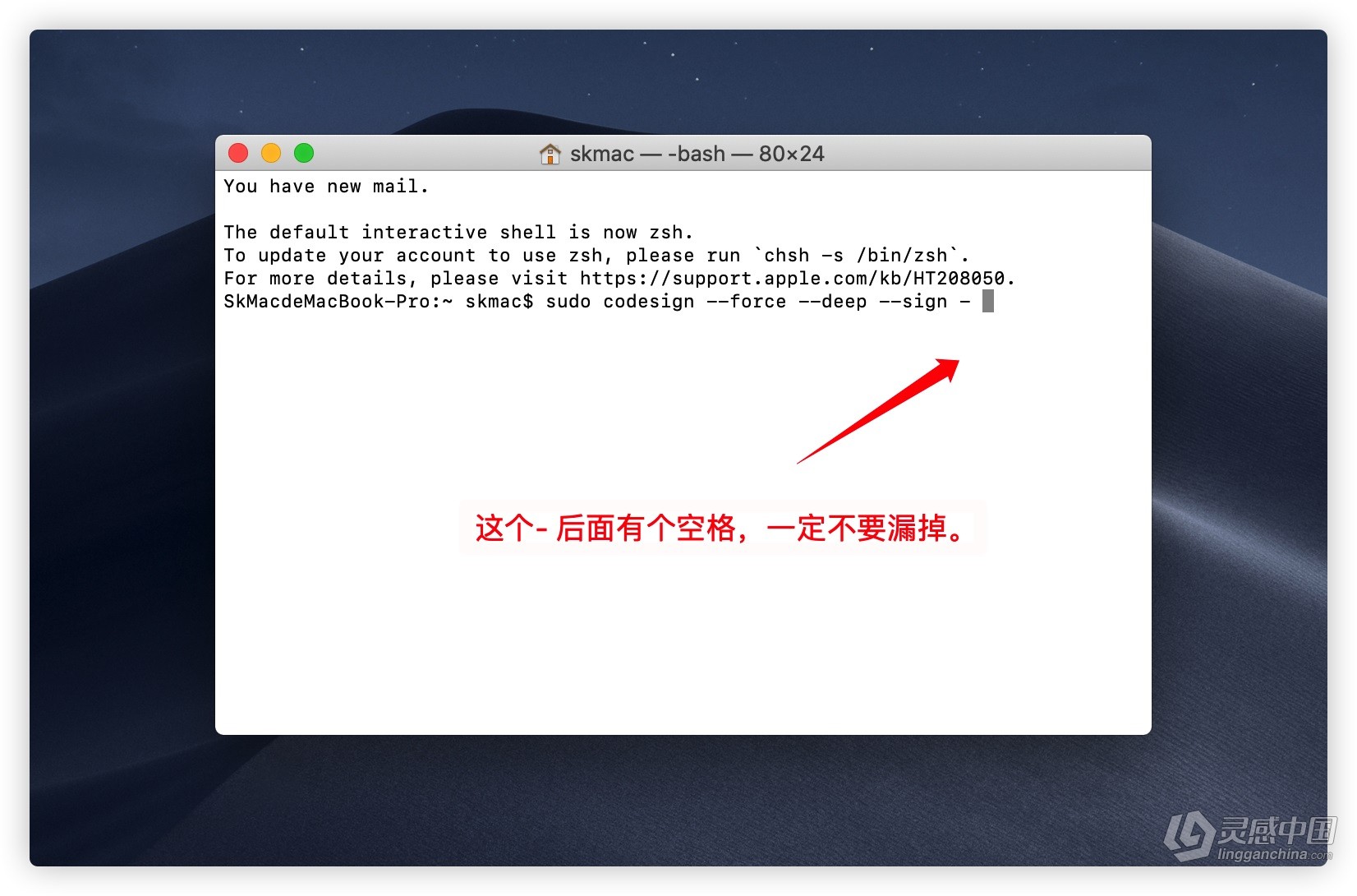 macOS 10.15.4 系统 更新系统后 意外退出及崩溃闪退 问题修复方法  灵感中国网 www.lingganchina.com