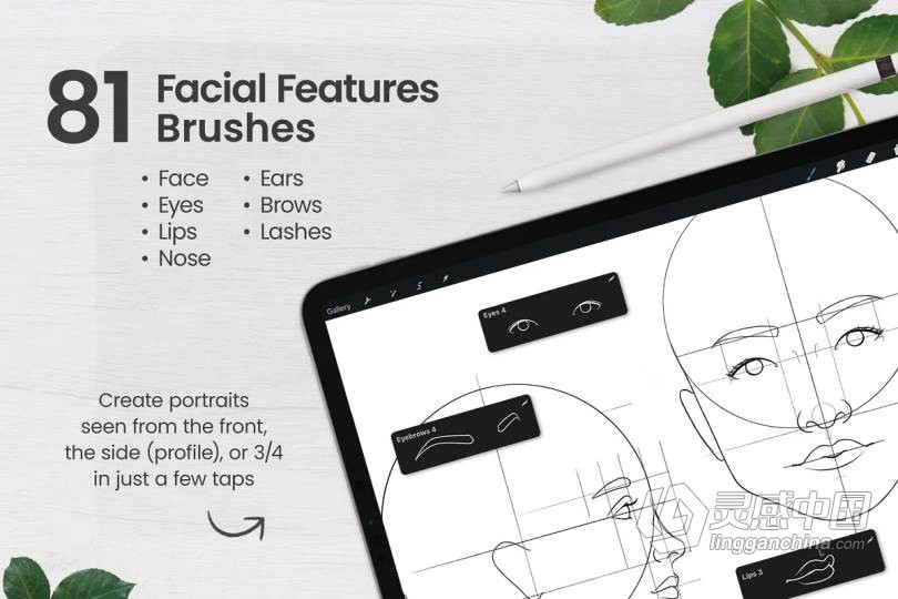 终极人像绘画套装Procreate画笔Ultimate Procreate Portrait Bundle (包含面部五官皮肤纹理头发画笔)附教程  灵感中国网 www.lingganchina.com