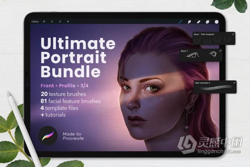 终极人像绘画套装Procreate画笔Ultimate Procreate Portrait Bundle (包含面部五官皮肤纹理头发画笔)附教程  灵感中国网 www.lingganchina.com