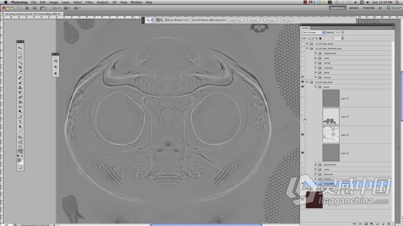 Zbrush教程 Zbrush超写实昆虫设计完整制作流程视频教程  灵感中国网 www.lingganchina.com