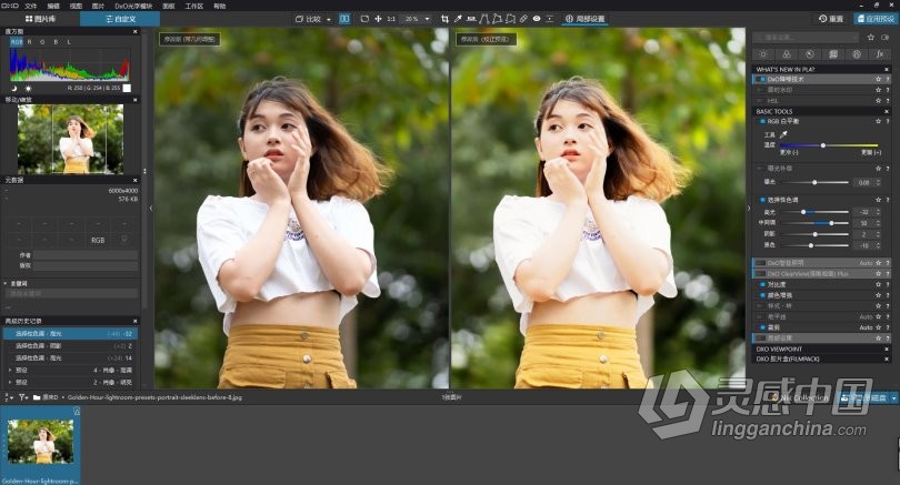 DxO PhotoLab 4.3.1汉化版|顶级RAW数码智能降噪后期软件DxO PhotoLab 4.3.1 Build 4595 WIN中文版  灵感中国网 www.lingganchina.com