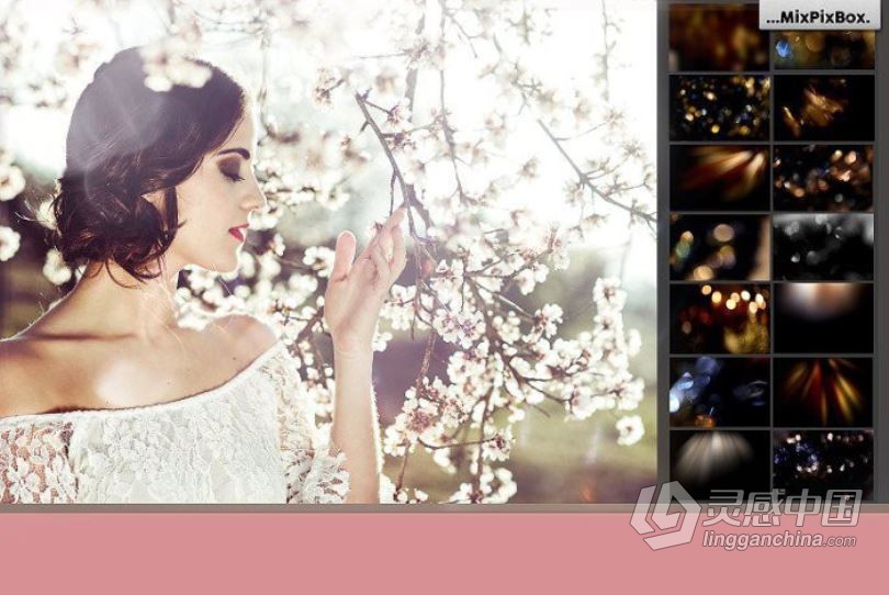 3400+散景光斑天空云彩花瓣气泡落叶摄影师后期叠加合成素材包  灵感中国网 www.lingganchina.com