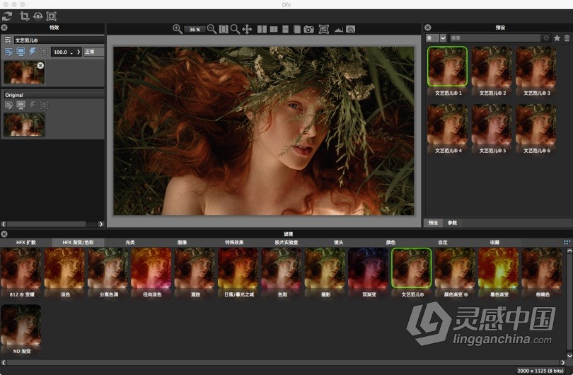 Tiffen Dfx MAC中文版 光效特效调色滤镜中文PS插件 Tiffen Dfx 4.0v15 MAC中文汉化版  灵感中国网 www.lingganchina.com
