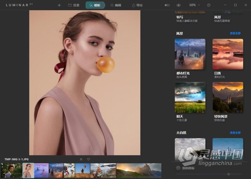 Luminar AI 1.4汉化版|AI人工智能照片编辑修图PS插件Luminar AI 1.4.0 (8292) 中文版  灵感中国网 www.lingganchina.com