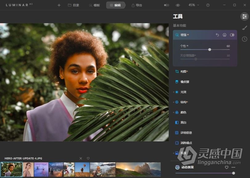 Luminar AI 1.4汉化版|AI人工智能照片编辑修图PS插件Luminar AI 1.4.0 (8292) 中文版  灵感中国网 www.lingganchina.com